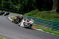 cadwell-no-limits-trackday;cadwell-park;cadwell-park-photographs;cadwell-trackday-photographs;enduro-digital-images;event-digital-images;eventdigitalimages;no-limits-trackdays;peter-wileman-photography;racing-digital-images;trackday-digital-images;trackday-photos